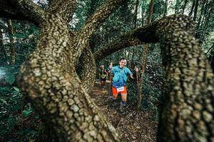 BIB: 
                            <button type="button" onclick="openModal(25392636)" class="btn btn-primary btn-sm float-right btn-popup" data-toggle="modal" data-target=".modal-high-quality">
                        <i class="fas fa-shopping-cart"></i> Add to Cart
                    </button>
                                            <button type="button" onclick="isThisMe(25392636, true)" class="btn btn-success btn-sm float-right btn-popup btn-isme hidden" data-toggle="tooltip" data-placement="bottom" title="นี่คือรูปของคุณใช่ไหม คลิกที่นี่เพื่อเอาเข้าอัลบั้ม">
                        <i class="fas fa-plus"></i> Add to album
                    </button>
                    <button type="button" onclick="isThisMe(25392636, false)" class="btn btn-warning btn-sm float-right btn-popup btn-isnotme hidden">
                        <i class="fas fa-ban"></i> Remove from album
                    </button>